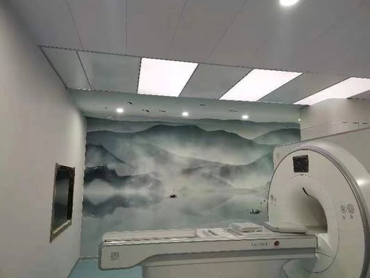100dB MRI Korumali Oda Faraday Koruması Faraday Kafesini Özelleştirilebilir Kapı